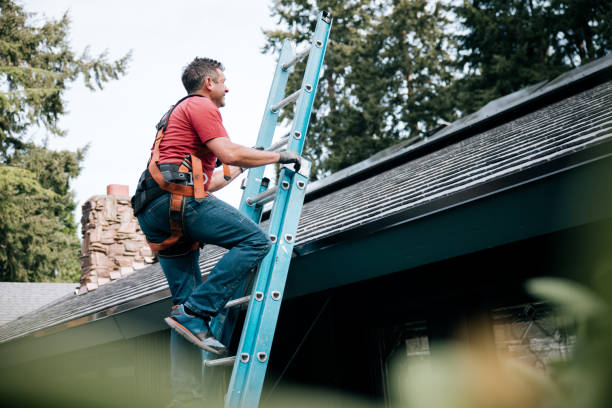 Best Solar Panel Roofing Installation  in Walters, OK